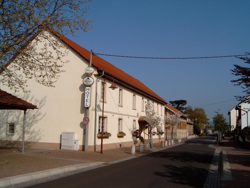 Garni Zum Adler Gensingen Exterior photo